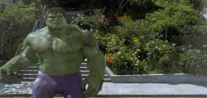 Hulk Picture: 69
